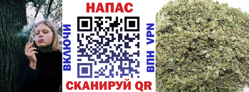 Продажа наркотиков Сасово Конопля  ГАШИШ 