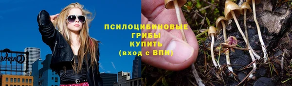 соль ск Алексин