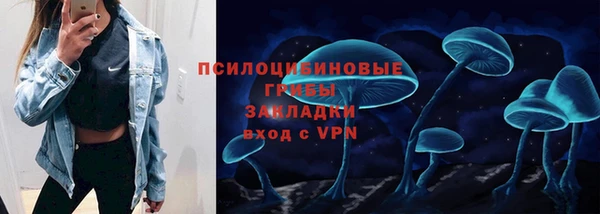 соль ск Алексин