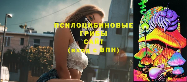 соль ск Алексин