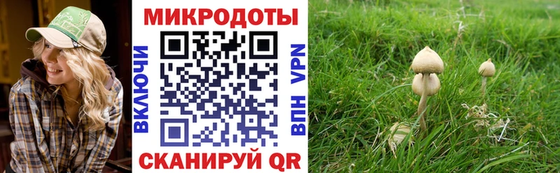 купить   Сасово  ОМГ ОМГ как зайти  Псилоцибиновые грибы Psilocybe 